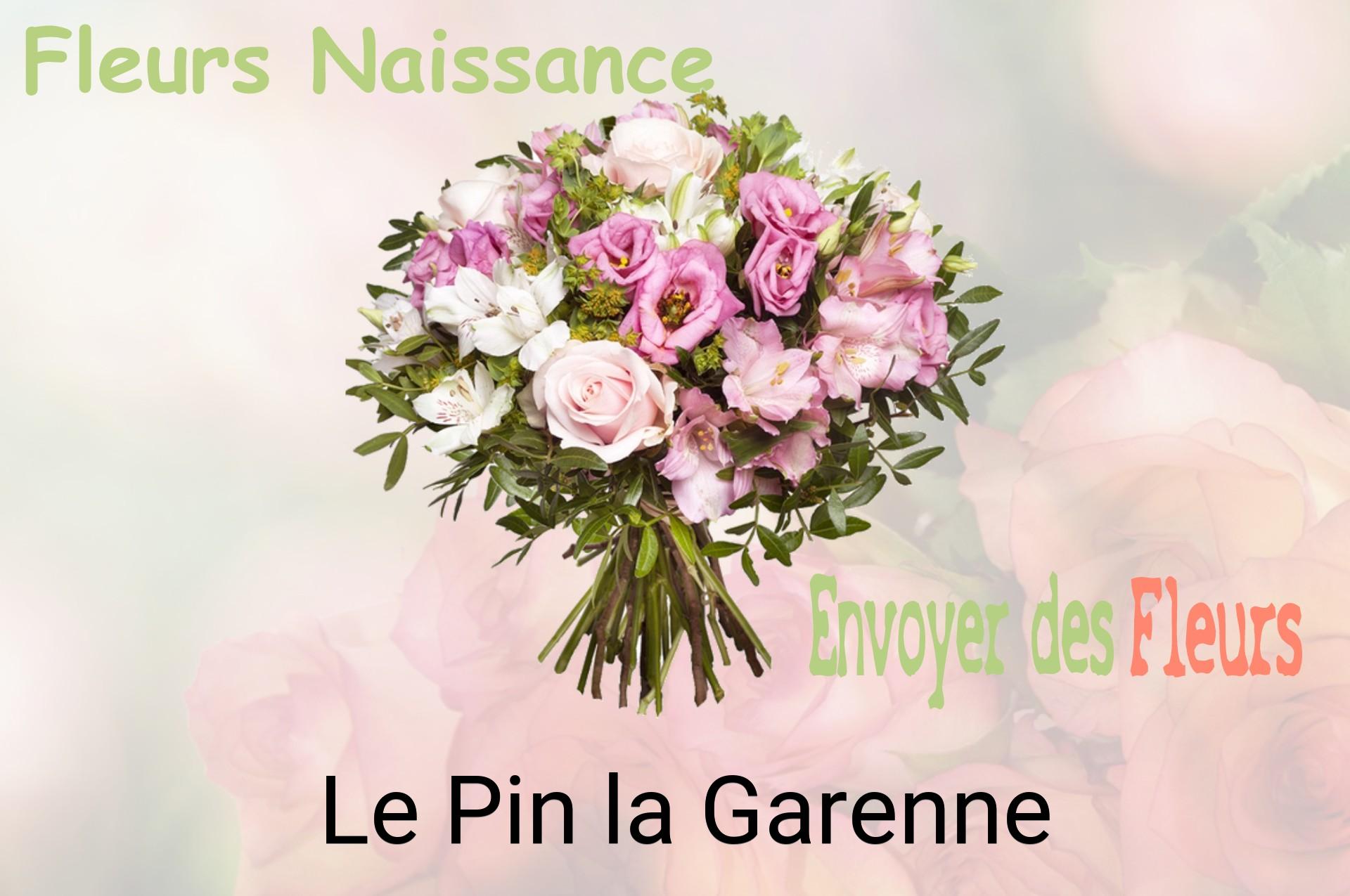 Bouquet de fleurs de naissance livré à Le Pin-la-Garenne